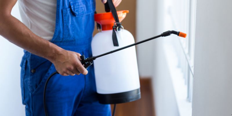 Como fazer dedetização em casa em Taboão da Serra
