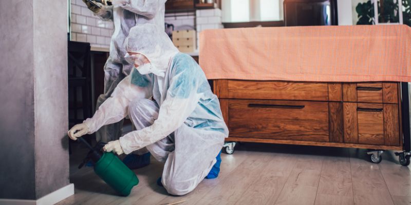 Dedetização em Apartamento Como Funciona em Taboão da Serra: Confira 4 Passos