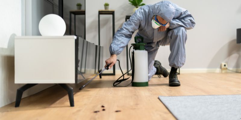 Quanto tempo dura uma dedetização em Taboão da Serra?